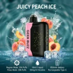 GEEK BUZZ Juicy Peach Ice 25K-30K Puffs Smart Disposable Vape