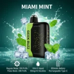 GEEK BUZZ Miami Mint 25000-30000 Puffs Adjustable Vaporizer